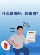 肌酐高、尿蛋白不止？通络保肾汤助你重获肾脏健康！