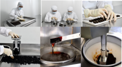 厦门中药厂有限公司：用匠心守护非遗技艺，让价值永续照亮中医未来